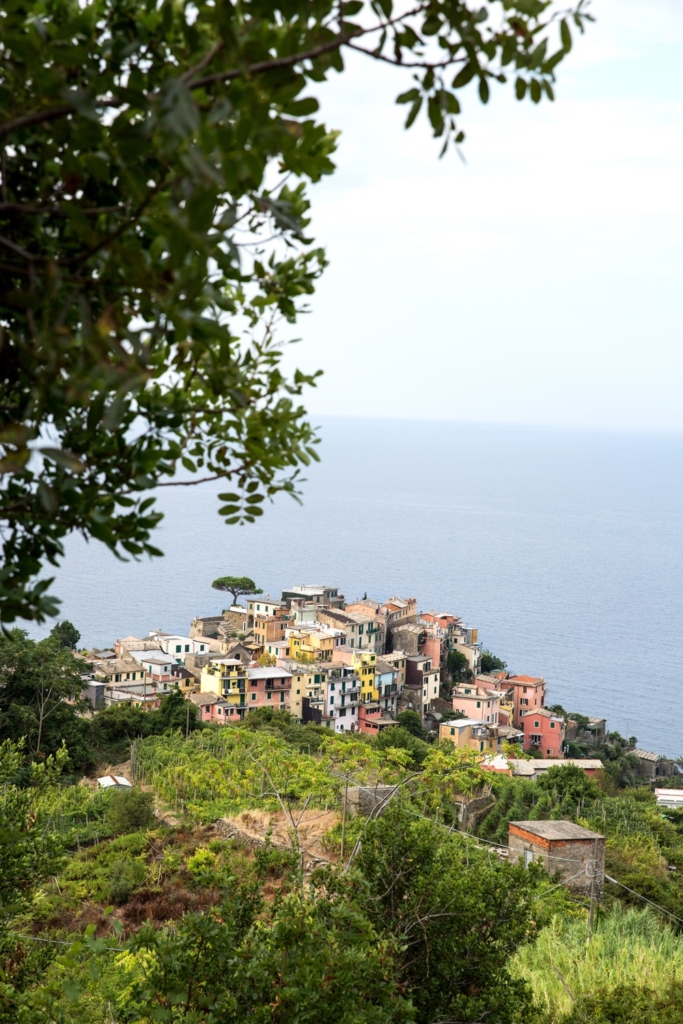 corniglia-13