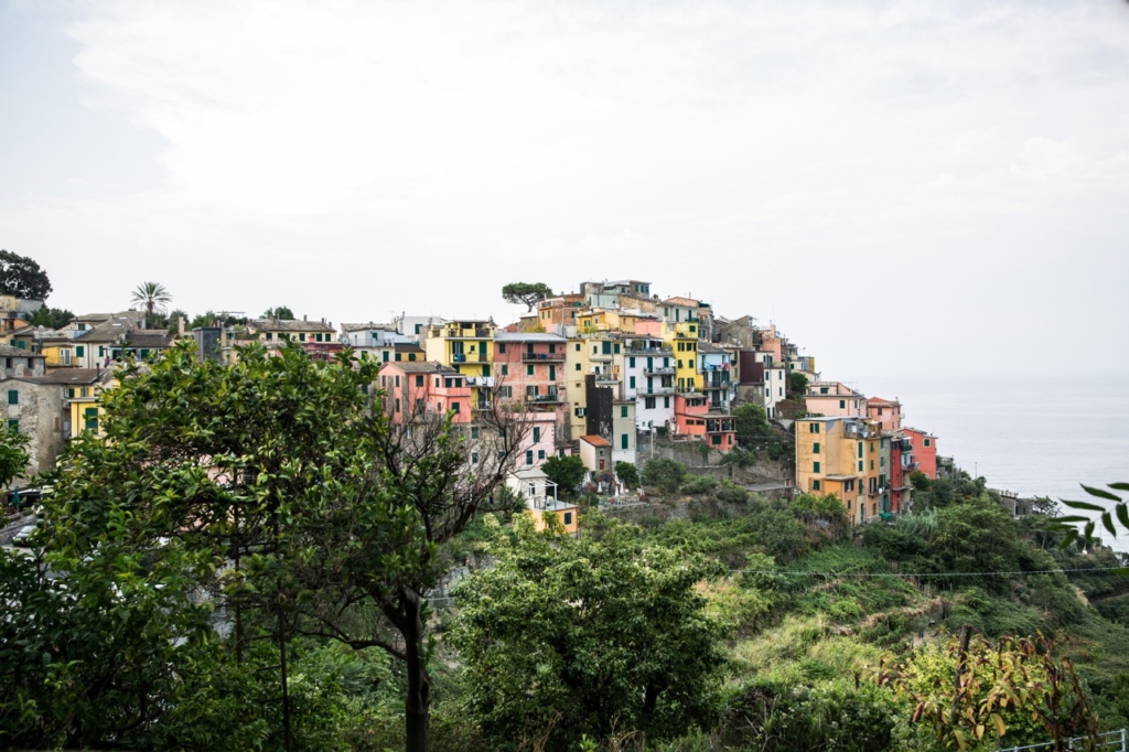 corniglia-17