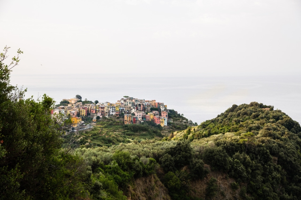 corniglia-9